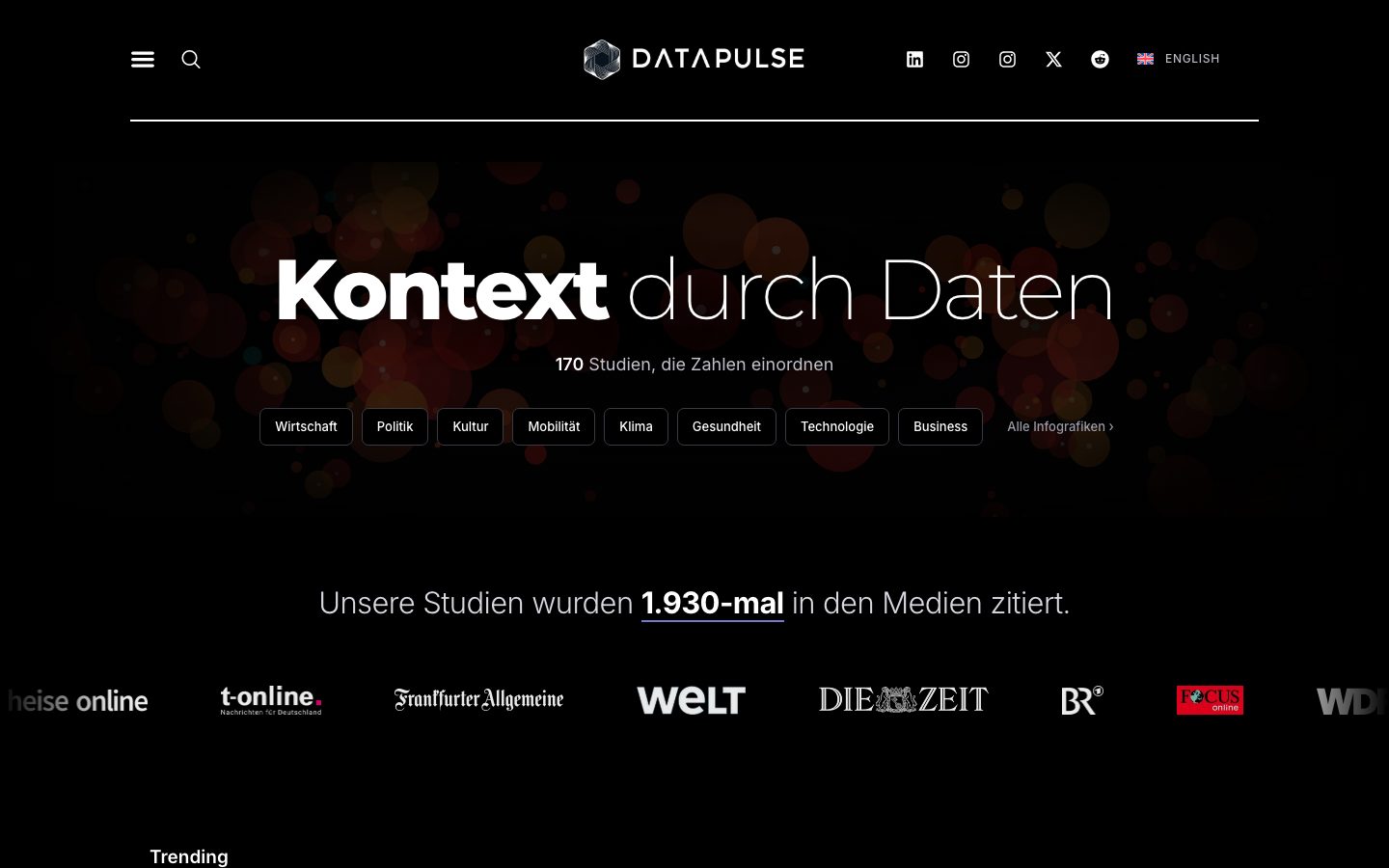 Startseite von DataPulse Research
